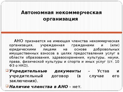 Возможность регистрации АНО в качестве СМП