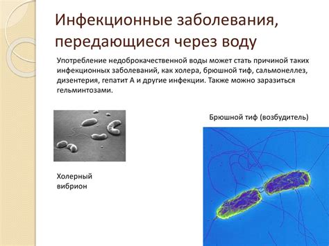 Возможные инфекции через воду