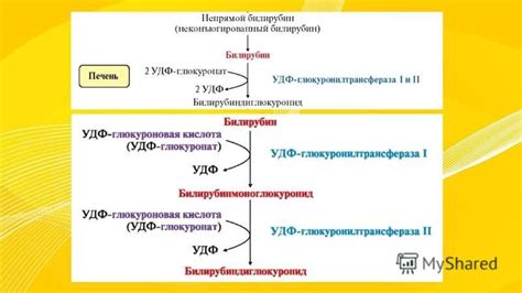 Возможные осложнения при продолжительном повышении концентрации билирубина