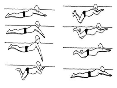 Возможные стратегии плавания