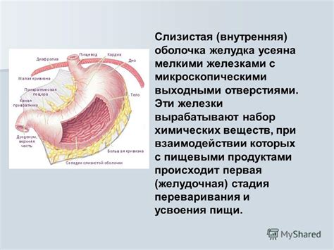 Возросшая нагрузка на холодильник при взаимодействии с нагретыми пищевыми продуктами