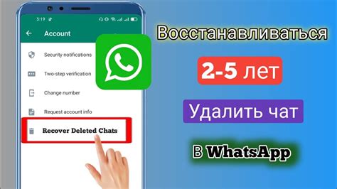 Восстановление удаленных сообщений посредством обращения к администратору чата