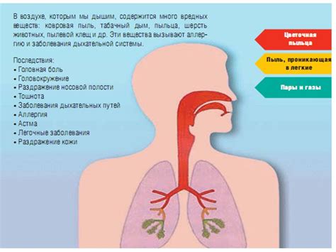 Вредные последствия подсоса воздуха и его влияние на работу системы