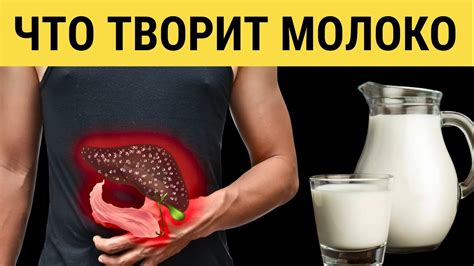 Вред молока для организма крыс