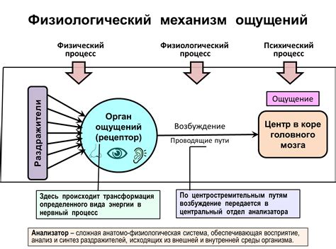 Время и эмоции: отражение прошлого в его восприятии