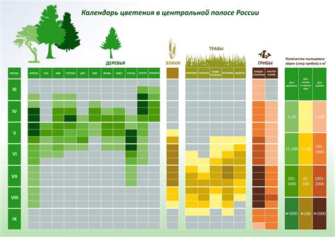 Время цветения и периодичность