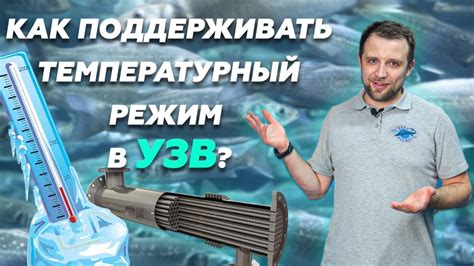 Второй аспект: значимость поддержания оптимальной температуры воды