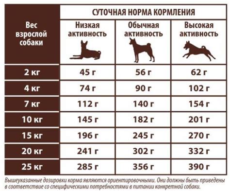 Выбор дозировки препарата для собаки