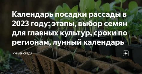 Выбор и посадка молодых растений жимолости: советы для оптимального развития