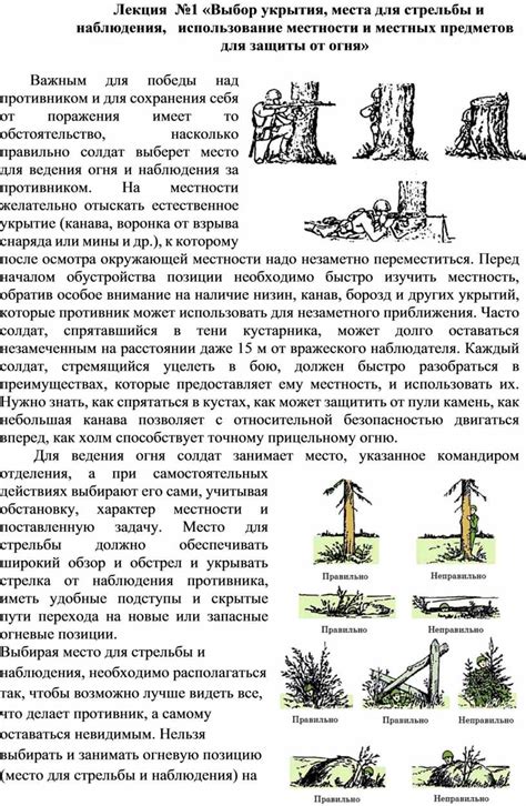 Выбор места для укрытия и методы маскировки при пребывании на дереве