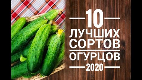 Выбор огурцов для рецепта