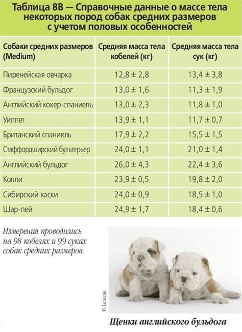 Выбор оптимального рациона