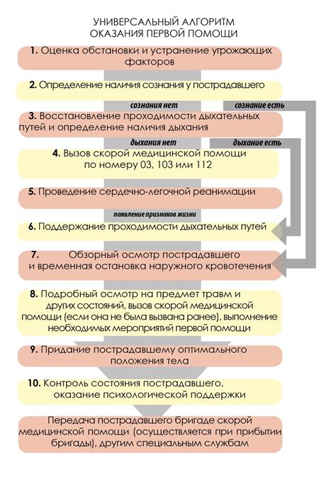 Выбор приложения и последовательность действий