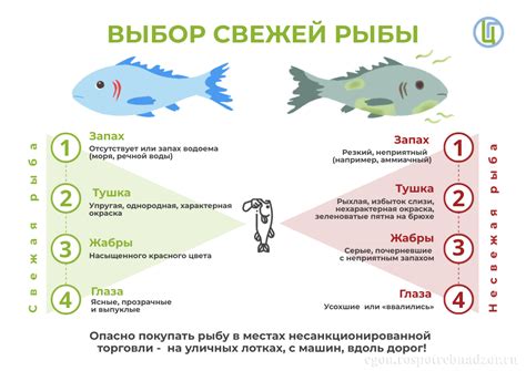 Выбор свежей рыбы для консервирования