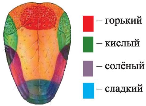 Выбор языка и временной зоны