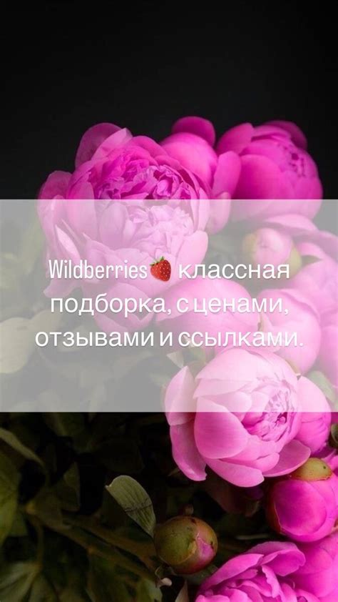 Выгодные предложения для покупателей: акции и скидки Wildberries в Беларуси