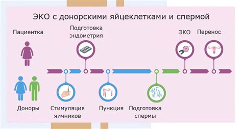 Высокие перспективы для успешной беременности при использовании донорского эмбриона