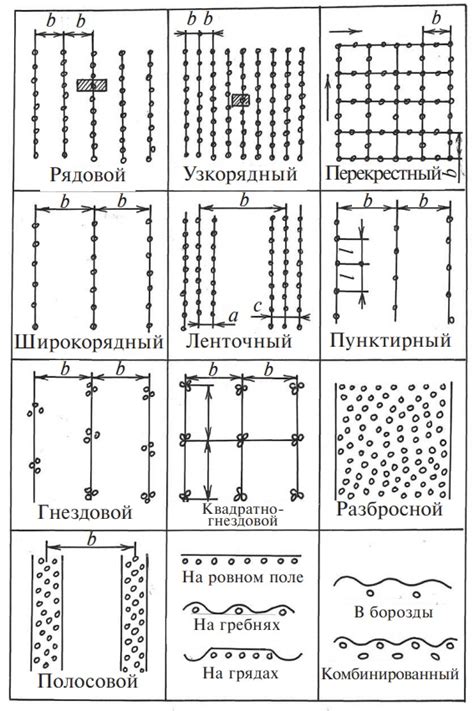 Высокоэффективный способ посева