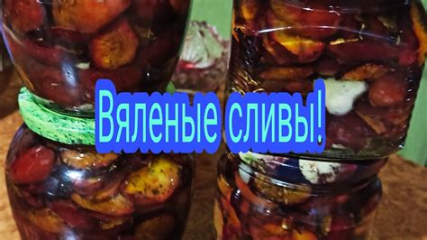 Вяленый шиповник: ценный деликатес для дорогих питомцев