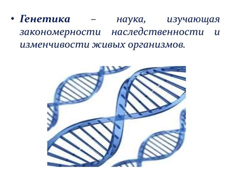 Генетика: раскрывая загадки нашей наследственности