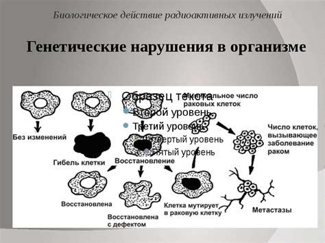 Генетические нарушения в организме