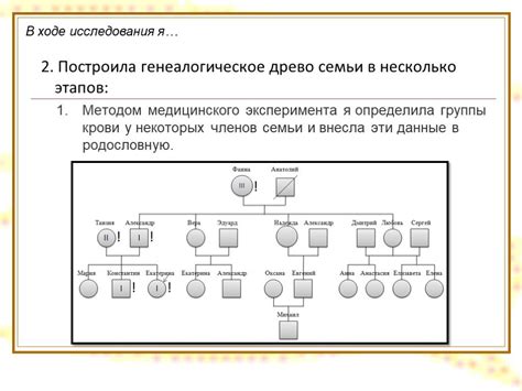 Генетические основы групп крови