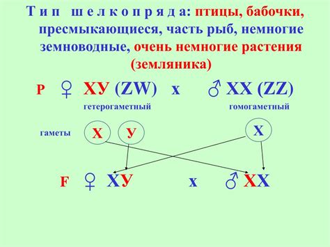 Генетические подходы для определения пола молодняка