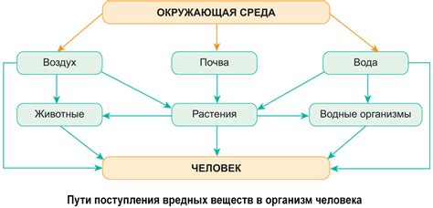 Главные источники выделения вредных веществ в повседневной среде