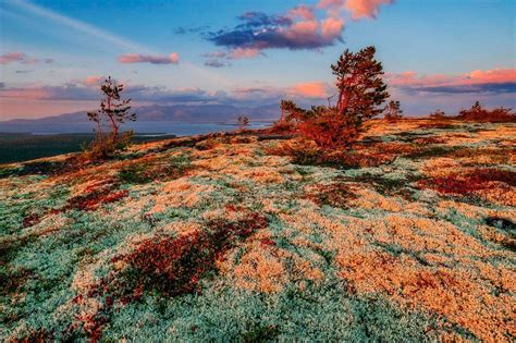 Горы и сопки: основное понятие