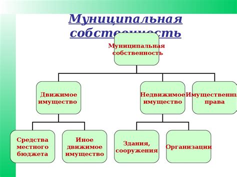 Государственная, муниципальная и частная собственность