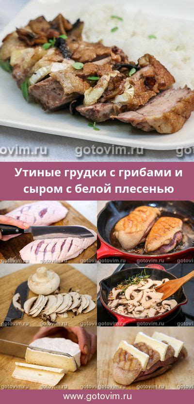 Гриль с сыром с белой плесенью: рецепты для пикника