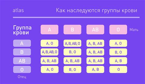 Группа крови и особенности