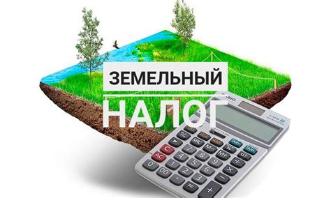 Дача и земельный налог: различия