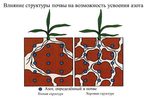 Дегрузация почвы