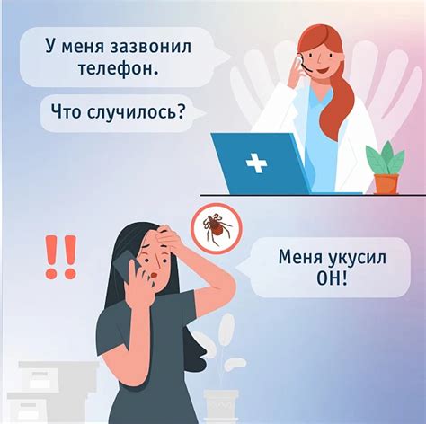 Действия при укусе клеща