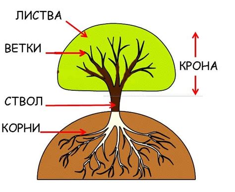 Дерево как основа