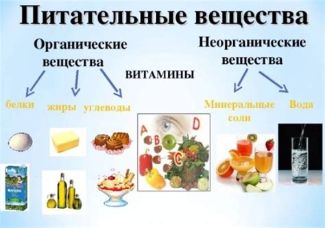 Дефицит питательных веществ