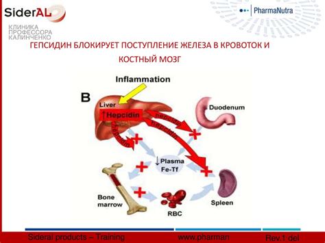 Дефицит физической активности