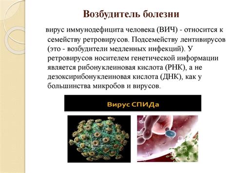 Диагностика и терапия генитального вируса человека 6-ого типа у мужчин