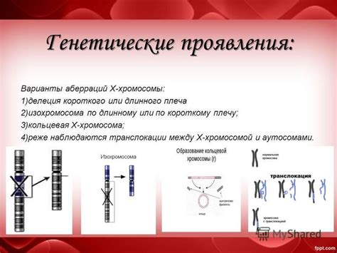 Диагностика нарушения 17 хромосомы