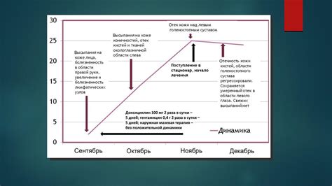 Динамика процесса