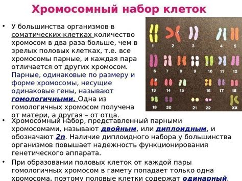 Дисбаланс хромосом