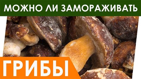 Длительность хранения замороженных грибов