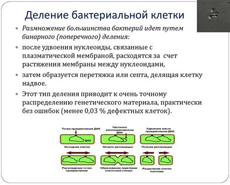 Для исключения размножения бактерий