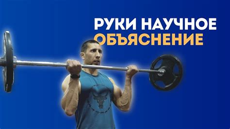 Для чего необходимо тренировать руки