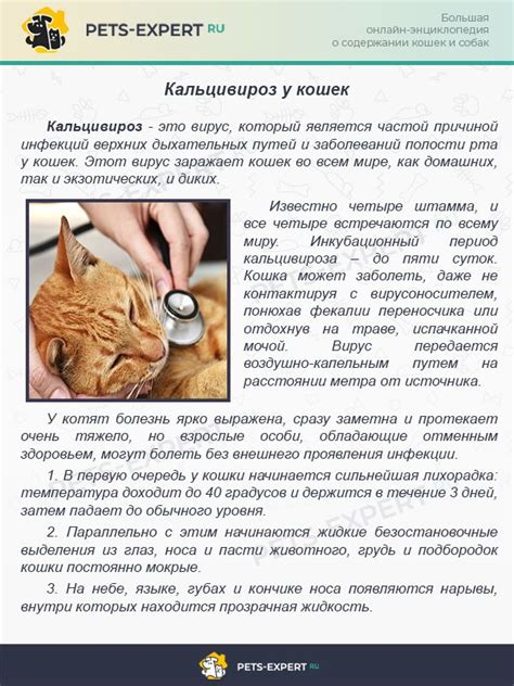 Дозировка для котов