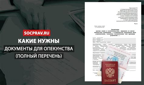 Документы для подтверждения опекунства