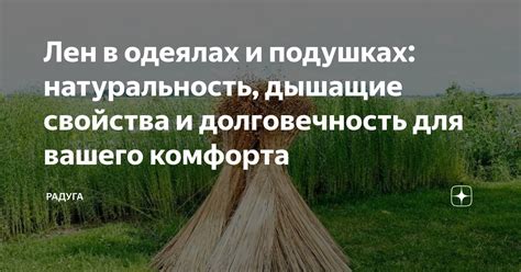 Долговечность и натуральность