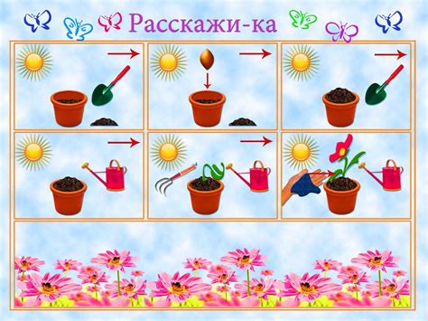 Домашние способы контроля за растениями