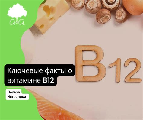 Дополнительные факты о витамине В12